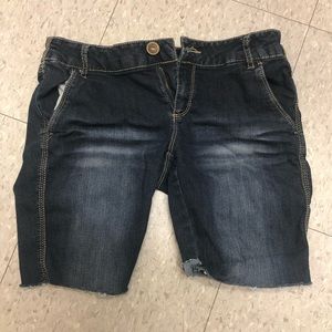 Knee High Blue Spice Jeans